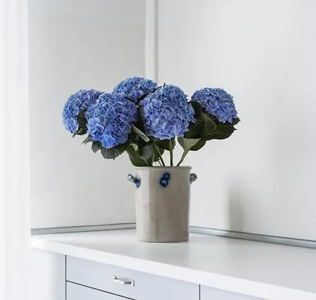 Apartment Gut Wolletz *